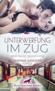 Cover von Unterwerfung im Zug , Erotische Geschichte