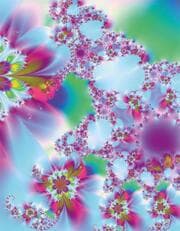 Cover von Blankbook Fractal II