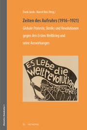 Cover von Zeiten des Aufruhrs (1916-1921)