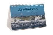 Cover von Bin am Meer 2024