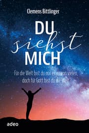 Cover von Du siehst mich
