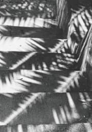 Cover von Jochen Lempert. Composition