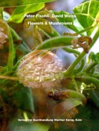 Cover von David Fischli/Peter Weiss - Flowers and Mushrooms