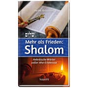 Cover von Mehr als Frieden: Shalom