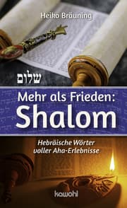 Cover von Mehr als Frieden: Shalom