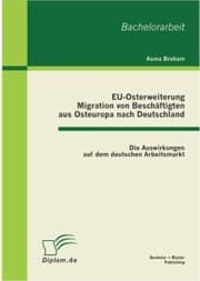 Cover von EU-Osterweiterung: Migration von Beschäftigten aus Osteuropa nach Deutschland