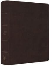 Cover von NeÜ bibel.heute LIEBEZURBIBEL