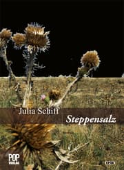 Cover von Steppensalz