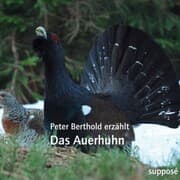 Cover von Das Auerhuhn