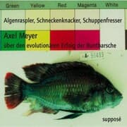 Cover von Algenraspler, Schneckenknacker, Schuppenfresser