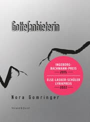 Cover von Gottesanbieterin