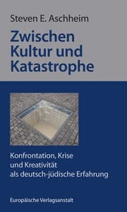 Cover von Zwischen Kultur und Katastrophe