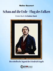 Cover von Schau auf die Erde - Der Flug des Falken. Erstes Buch: In Gottes Hand