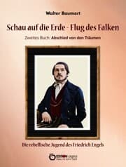 Cover von Schau auf die Erde - Der Flug des Falken. Zweites Buch: Abschied von den Träumen