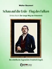 Cover von Schau auf die Erde - Der Flug des Falken. Drittes Buch: Der lange Weg der Erkenntnis