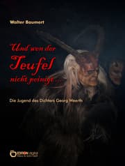 Cover von Und wen der Teufel nicht peinigt ...