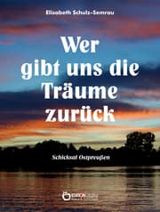 Cover von Wer gibt uns die Träume zurück