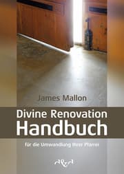 Cover von Divine Renovation Handbuch