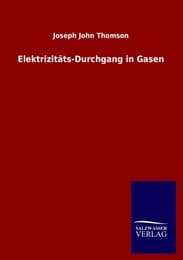 Cover von Elektrizitäts-Durchgang in Gasen