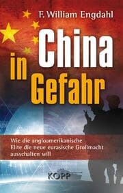 Cover von China in Gefahr