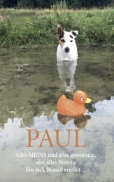 Cover von PAUL - Alles MEINS und alles gewonnen, also alles Bestens