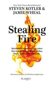 Cover von Stealing Fire