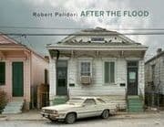 Cover von After the Flood