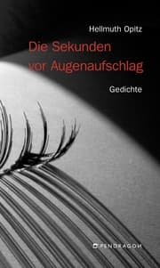Cover von Die Sekunden vor Augenaufschlag