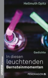 Cover von In diesen leuchtenden Bernsteinmomenten