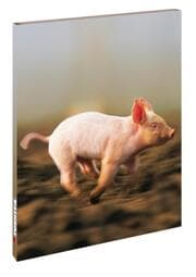 Cover von Keep on running...