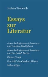 Cover von Essays zur Literatur