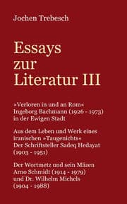 Cover von Essays zur Literatur III