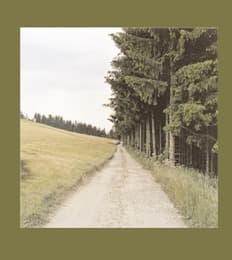 Cover von Bernhard Fuchs. Straßen und Wege