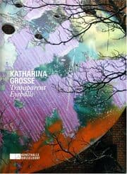 Cover von Katharina Grosse. Kunsthalle Düsseldorf