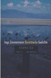 Cover von Durststrecke