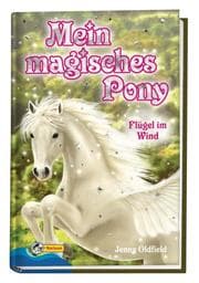 Cover von Flügel im Wind