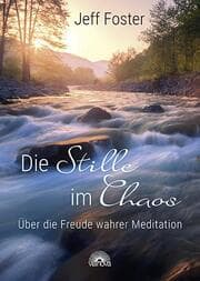 Cover von Die Stille im Chaos