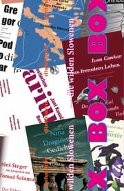 Cover von BOX - die wilder Slowenen