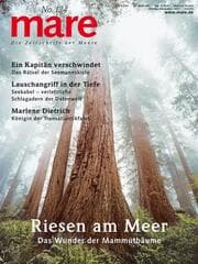Cover von Riesen am Meer