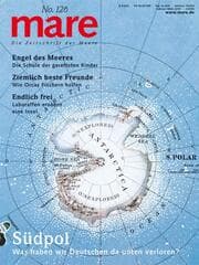 Cover von Südpol