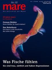 Cover von mare 151 - Was Fische fühlen