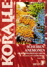 Cover von Scheibenanemonen im Meerwasseraquarium