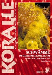 Cover von Schwämme im Meerwasseraquarium