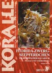 Cover von Florida-Zwergseepferdchen im Meerwasseraquarium