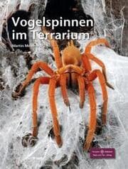 Cover von Vogelspinnen im Terrarium