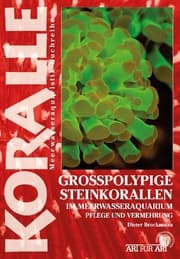 Cover von Grosspolypige Steinkorallen im Meerwasseraquarium