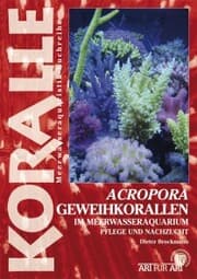 Cover von Acropora-Geweihkorallen im Meerwasseraquarium