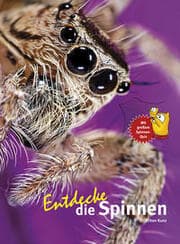 Cover von Entdecke die Spinnen