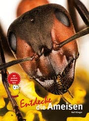 Cover von Entdecke die Ameisen