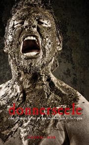 Cover von Donnerseele